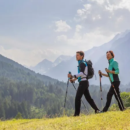 菊法维普塔尔酒店