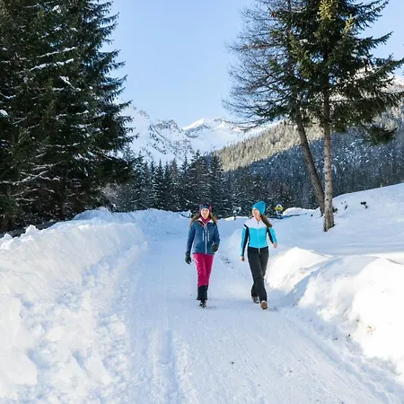 菊法维普塔尔酒店 酒店 3*