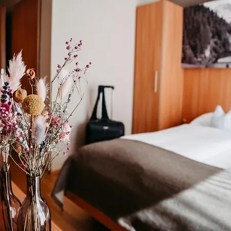 Jufa Wipptal Otel 3*